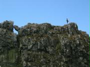 Mike climbs the Stiperstones