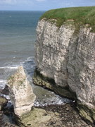Bempton Cliffs
