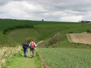 The Wolds Way