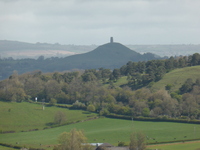 Glastonbury Tor from Lollover Hill