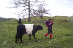 Cynthia and a cow (Judi)