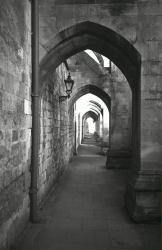 Winchester Cathedral cloister (Jim)