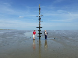 The Broomway