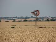 Near Paglesham, Essex