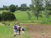 Essex Way crosses the Brain near White Notley