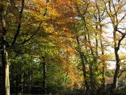 Autumn in the Devil's Punchbowl