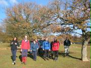 North Downs Way at Newlands Corner