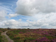 Walking on Dunwich Heath