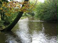 Highland Water, Brockenhurst