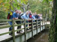 Bolderford Bridge, Brockenhurst, New Forest