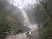 Hardraw Force