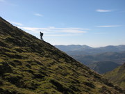 Fergus climbing Fairfiled