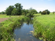 River Colne