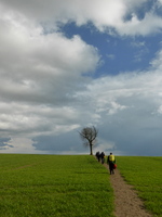 Walking near Arkesden