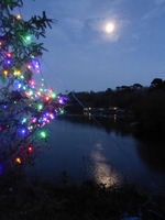 Helford by moonlight