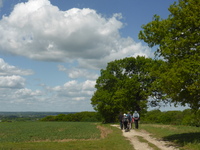 Saffron Trail near Hockley