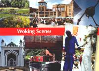 Woking Scenes