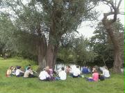 The Stour near Dedham