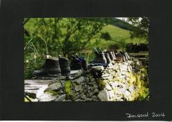 Boots at Dolgoch (Ali)
