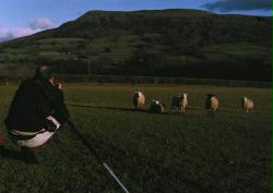 Tom in Wales at New Year (Jim)