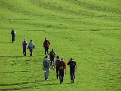 Green Grass (Dave P)