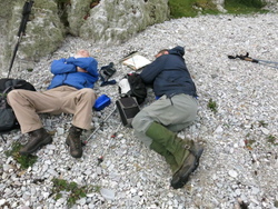 Judi's photo on Islay