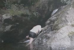 Jonathan's picture of one of our members in Ireland