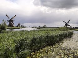 Windmills in The Netherlands (Dave J)